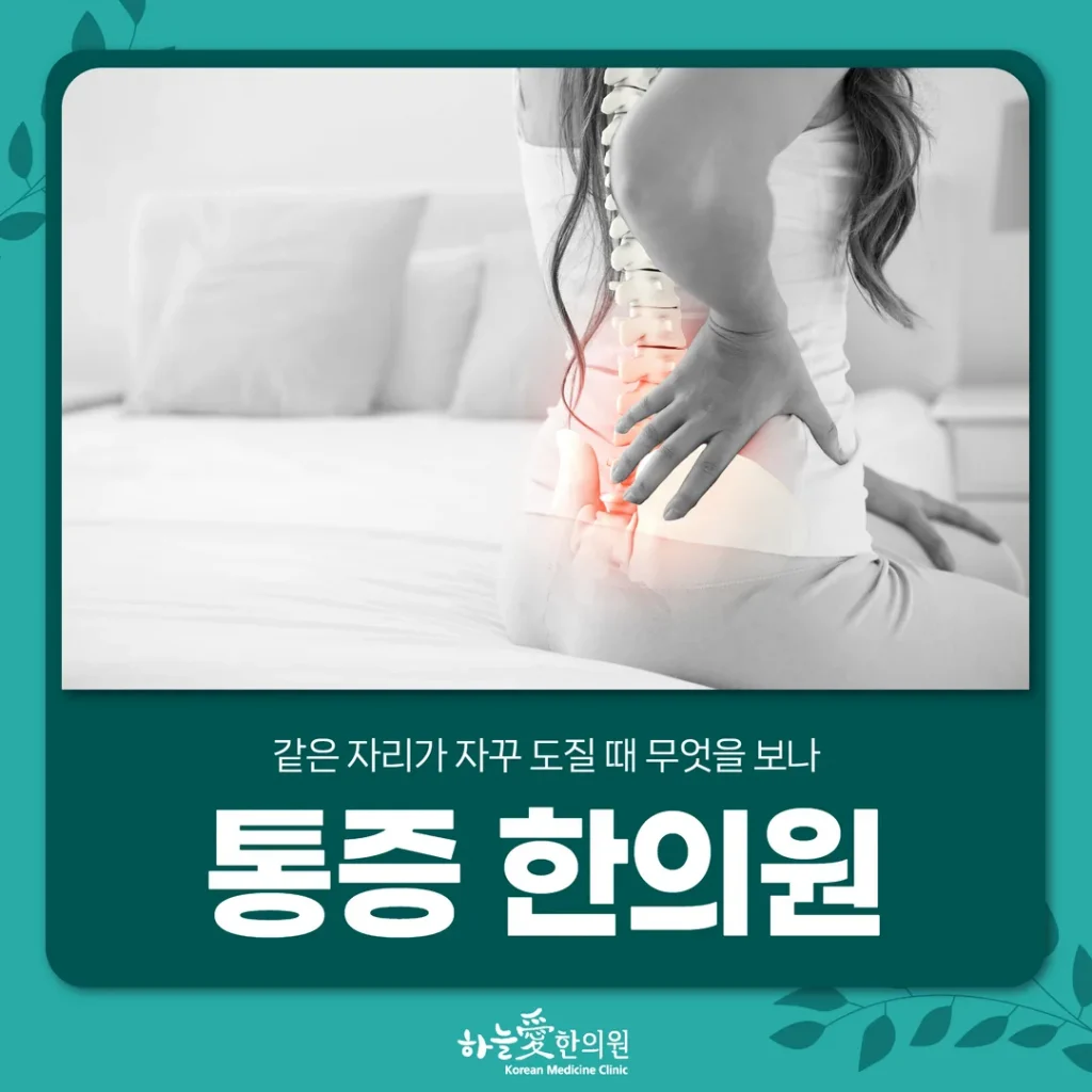 광장동통증한의원, 같은 자리가 자꾸 도질 때 무엇을 보나