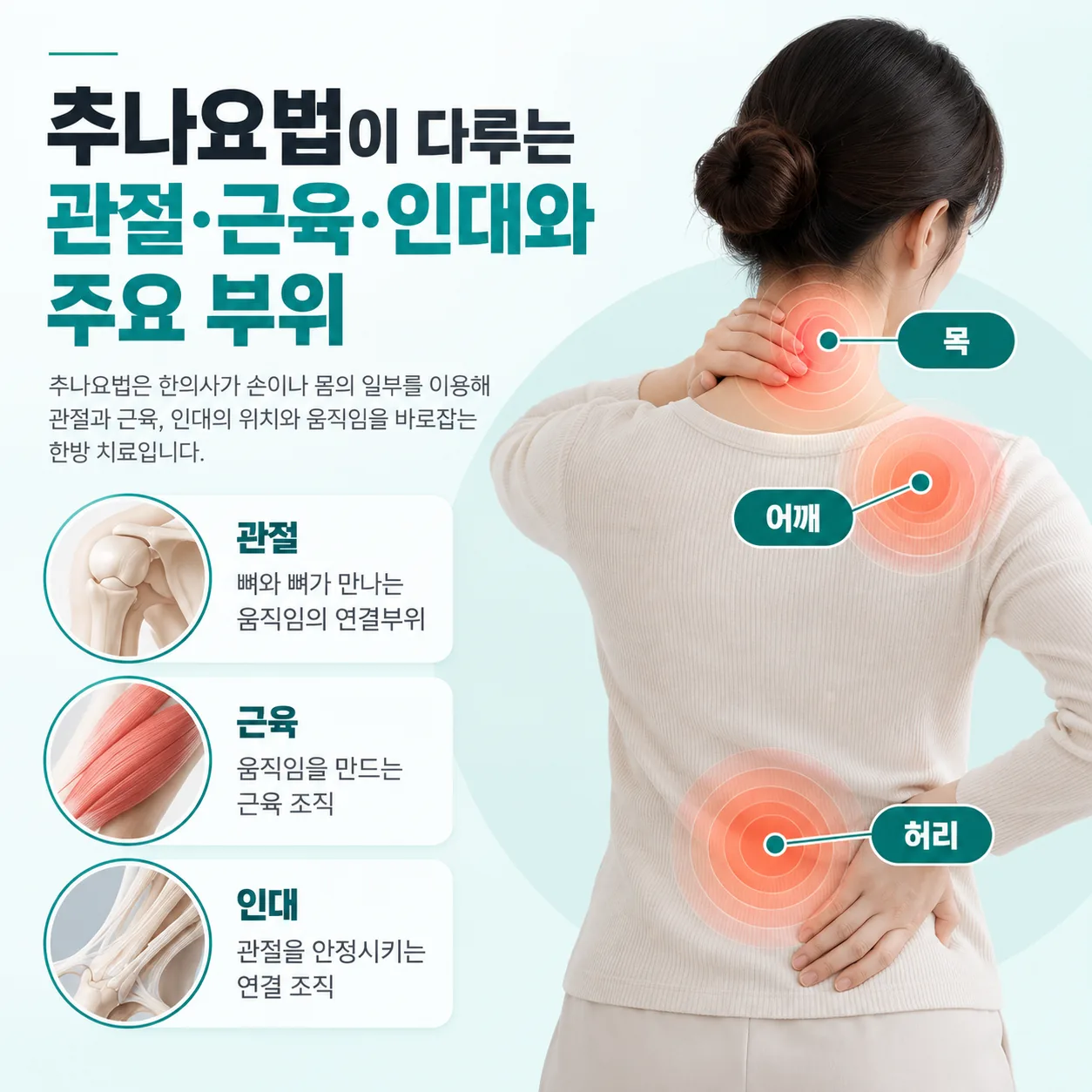 추나요법이 다루는 목 어깨 허리 관절과 근육 개념도