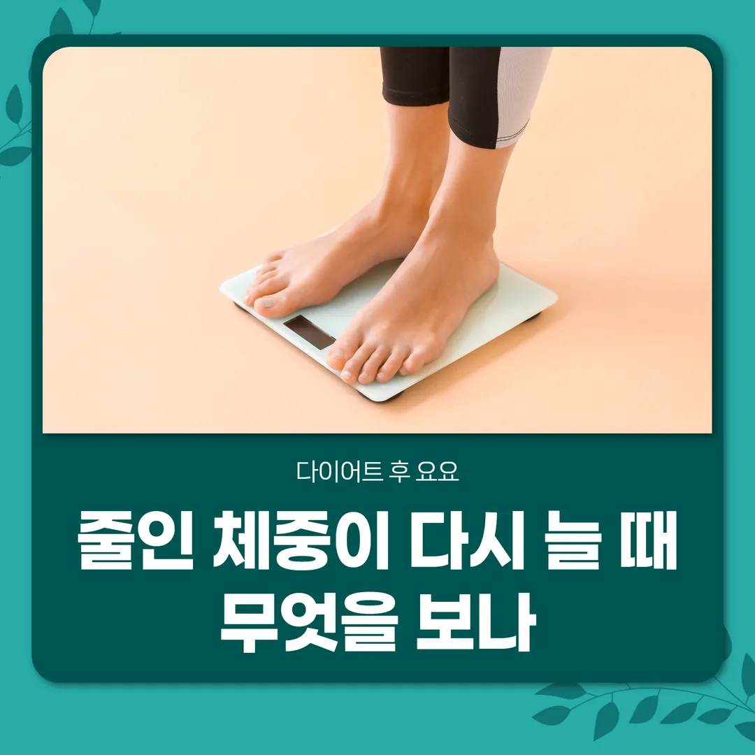 다이어트 후 요요, 줄인 체중이 다시 늘 때 무엇을 보나