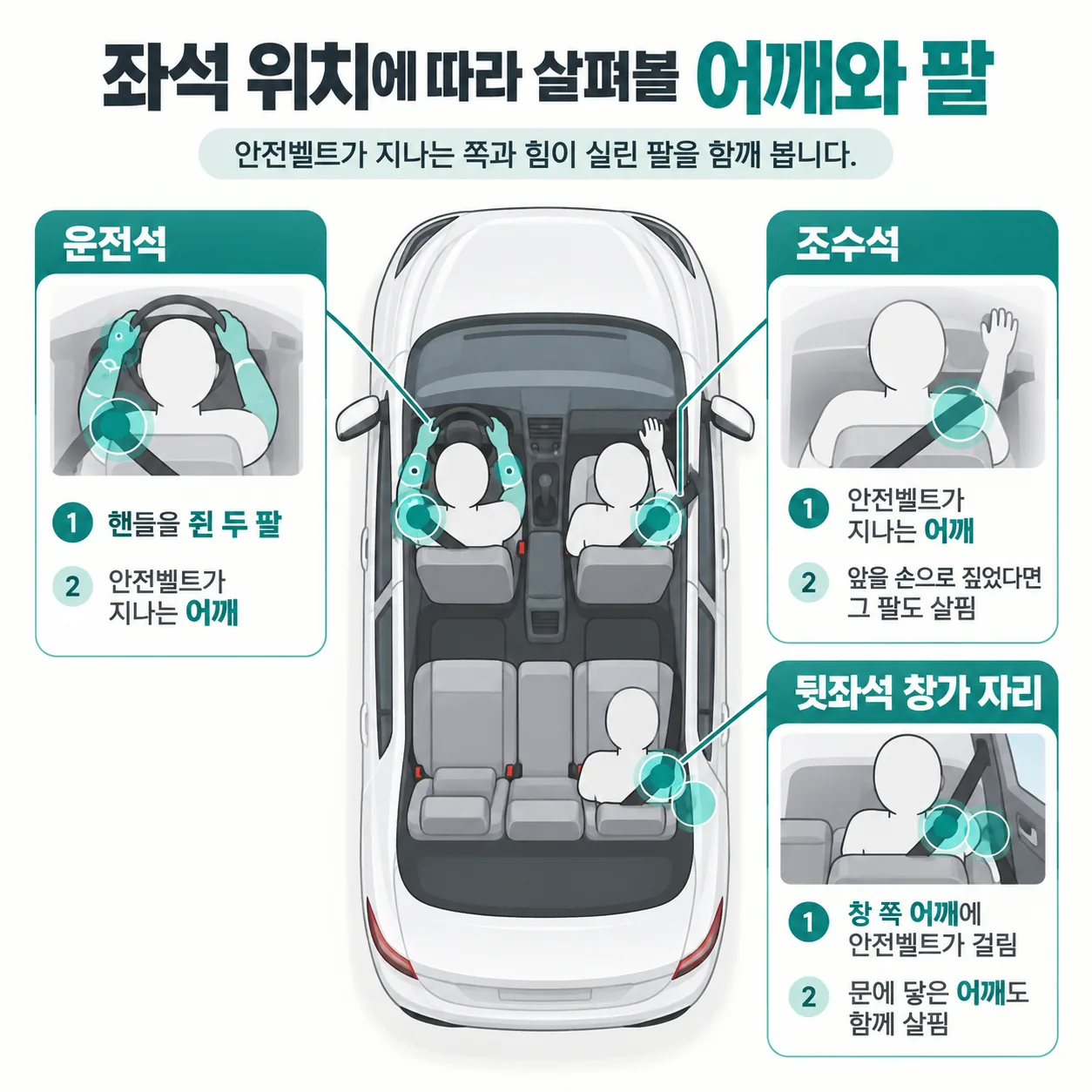 좌석 위치에 따라 안전벨트가 지나는 어깨와 핸들 쥔 팔을 표시한 차 안 좌석 도식